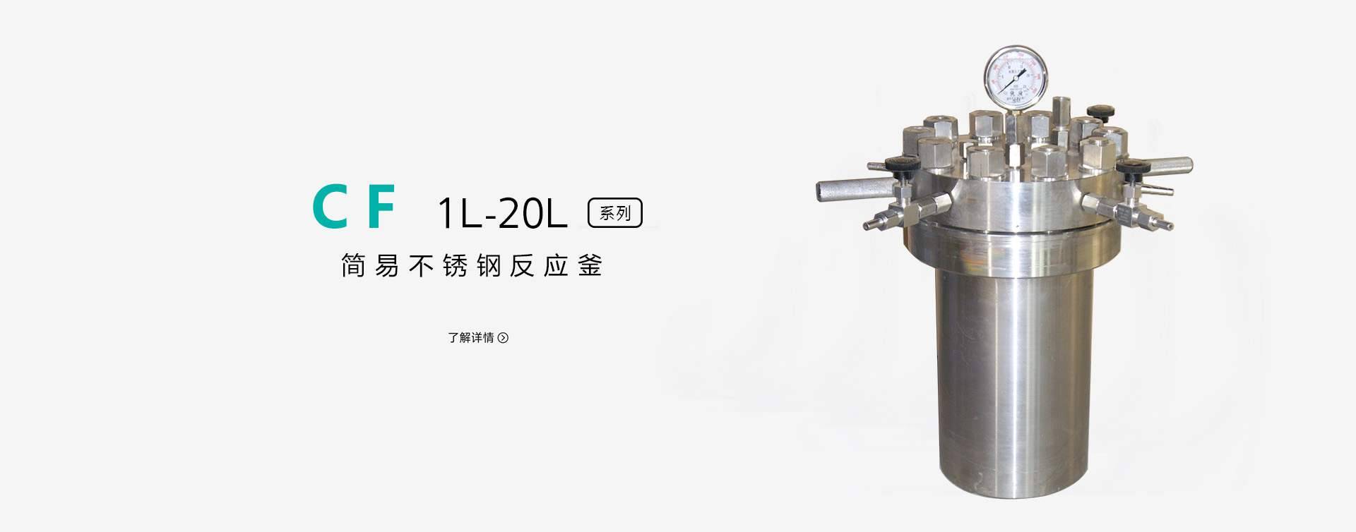 100ml简易不锈钢高压反应釜图片