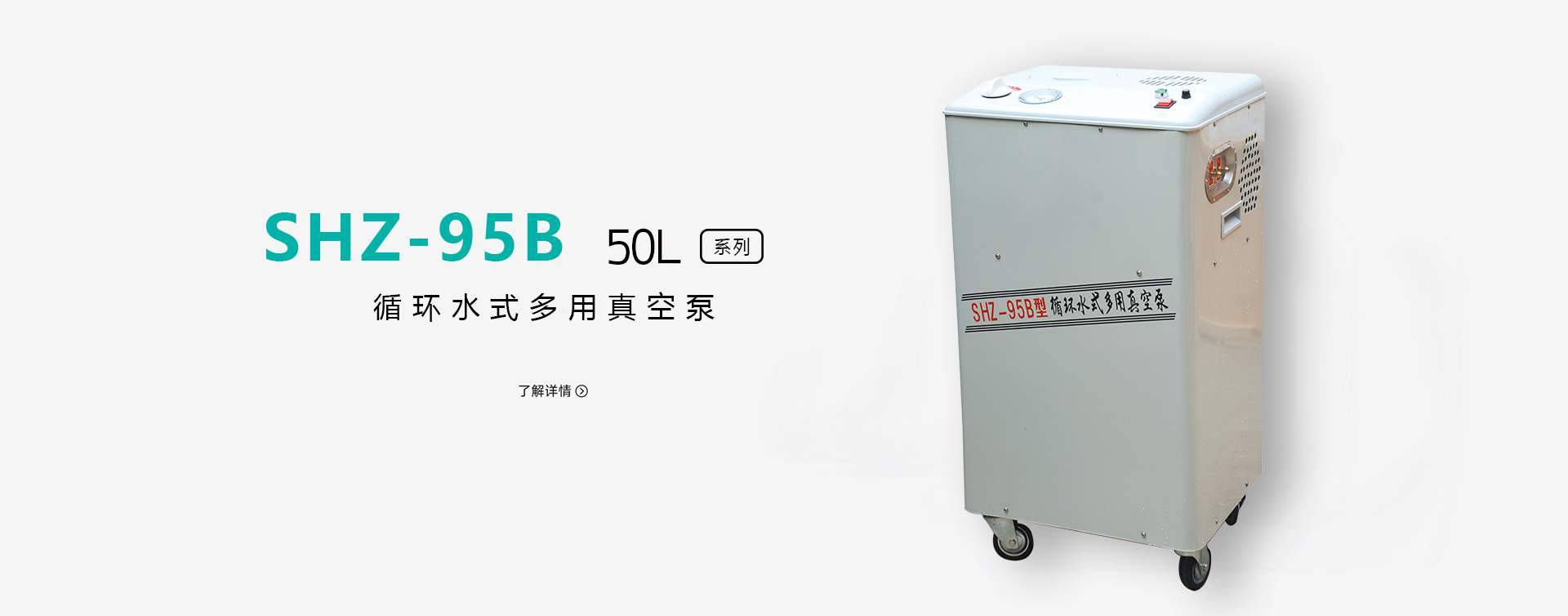 SHZ-95B实验室真空泵图片